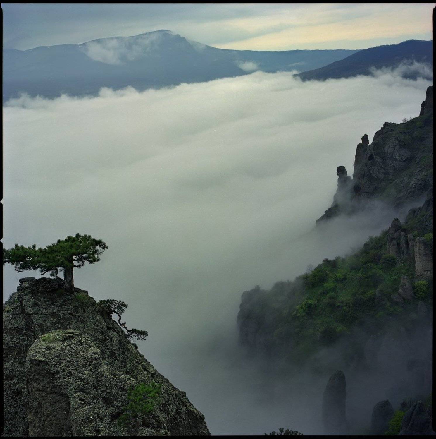 , Олег Ванилар