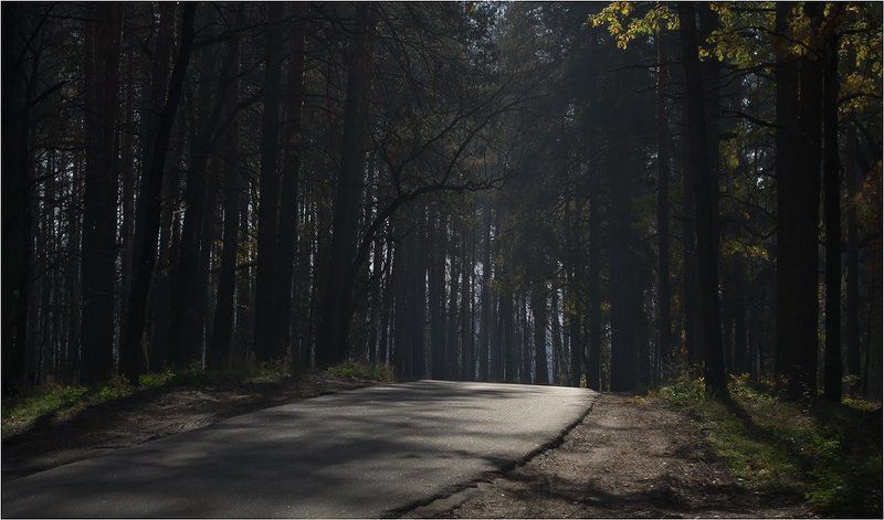 * * * фото превью