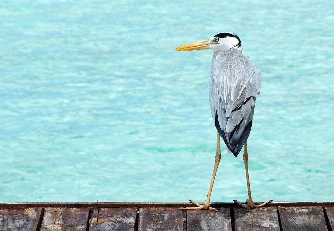 на, посту, Якимов Андрей