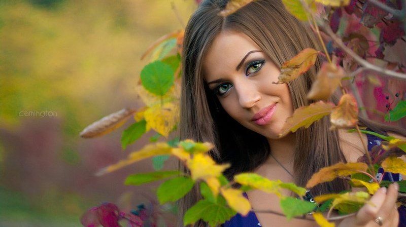 *** фото превью