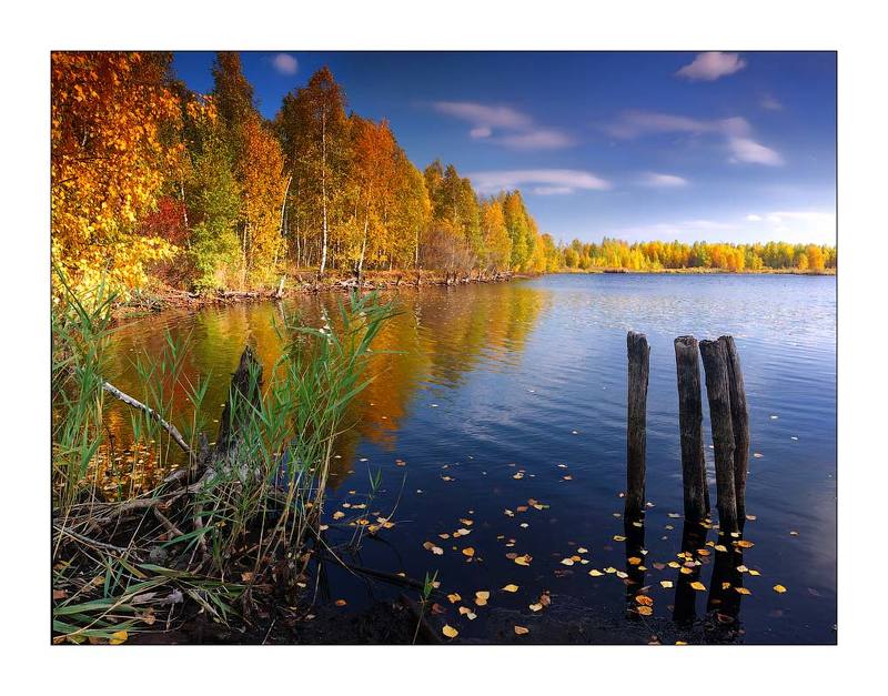 -*- фото превью