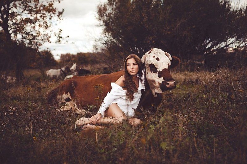 в поле фото превью