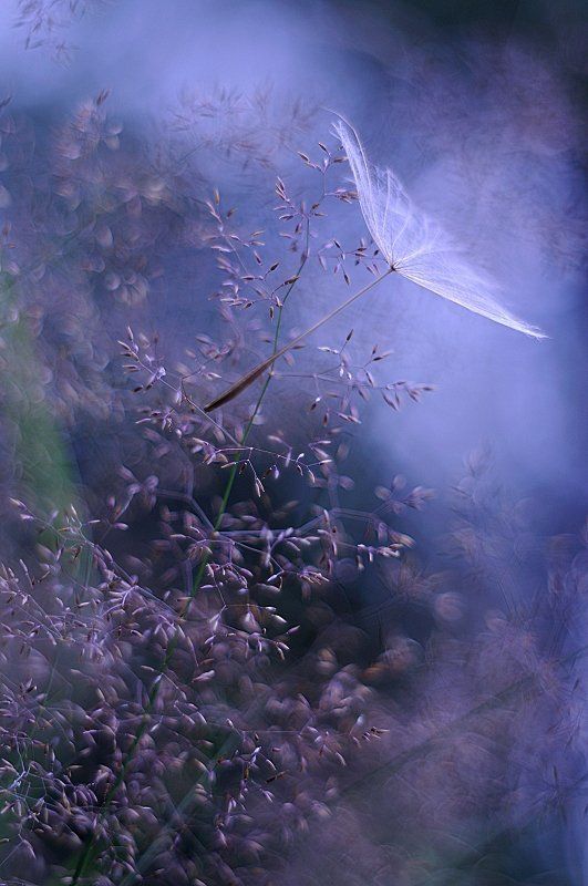 bed-time stories фото превью