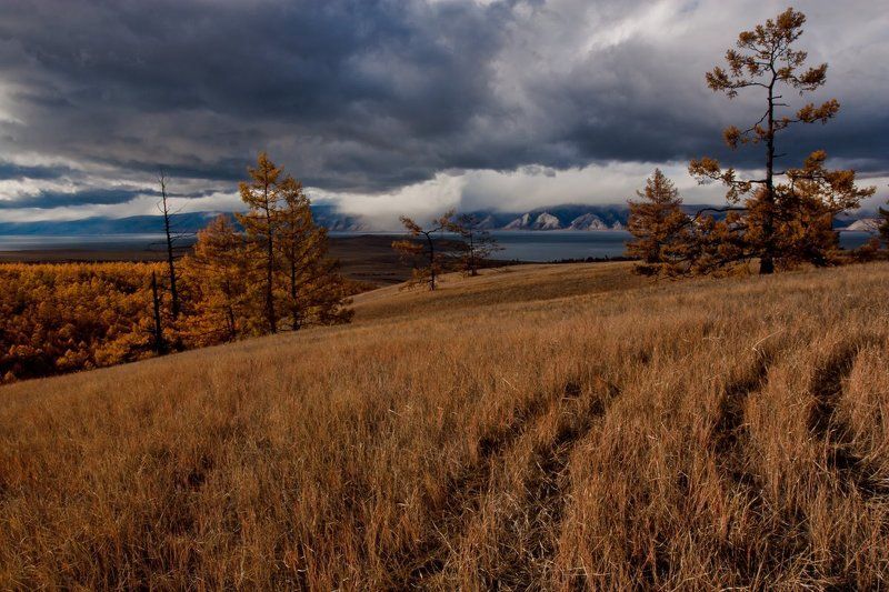 Осень на Ольхоне фото превью