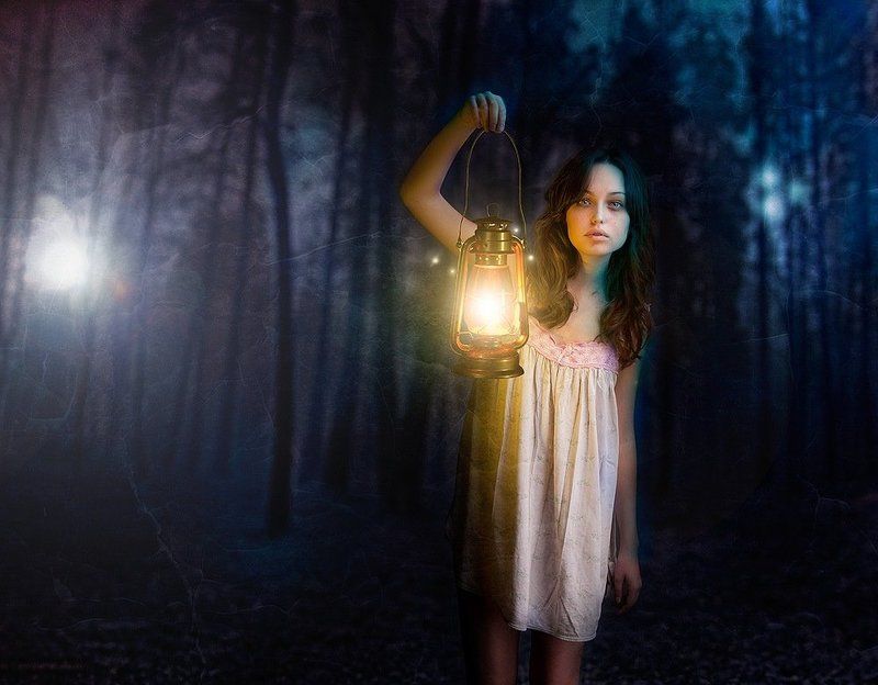 Dark Forest фото превью