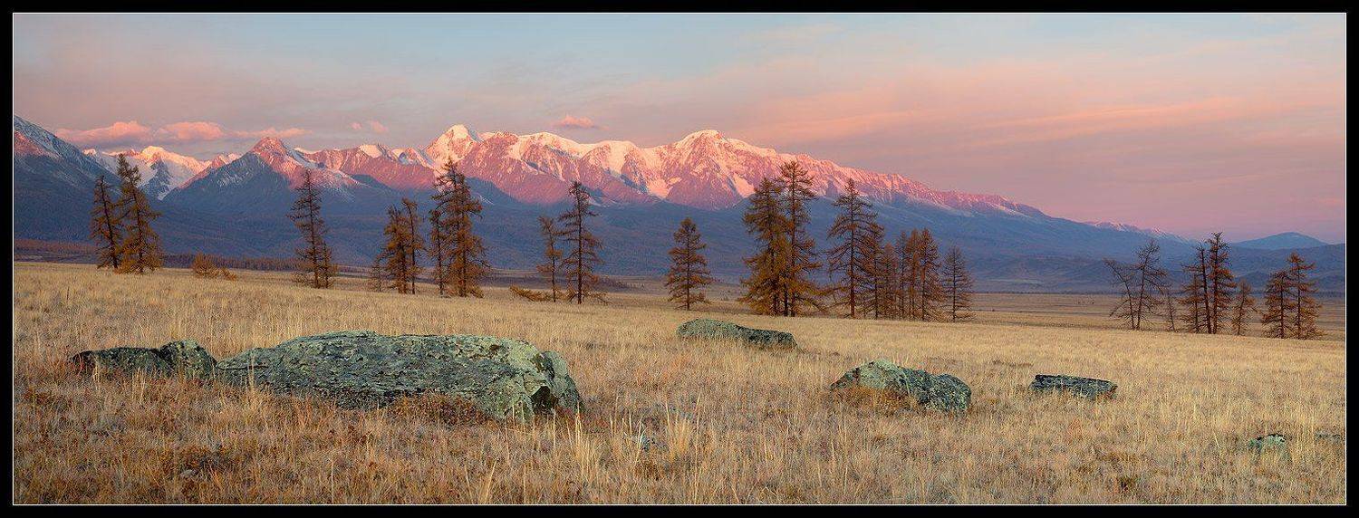 алтай, северо-чуйский хребет, горы, осень, курайская степь., Виктория Роготнева