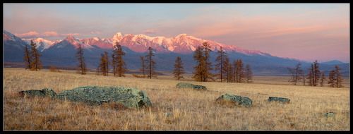 Курайская степь....