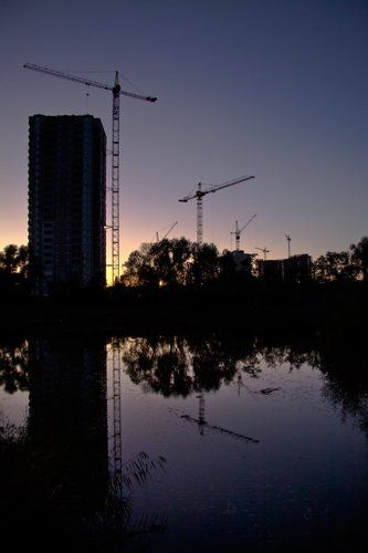 Как грибы после дождя...