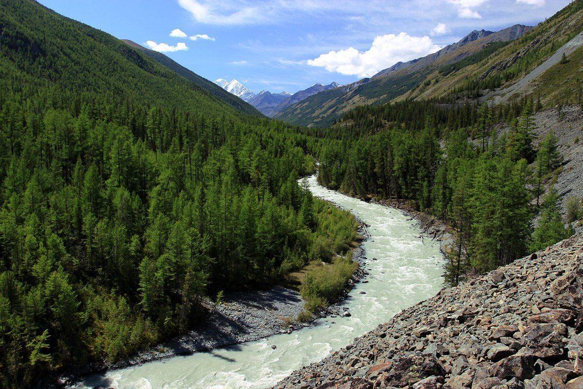 иедыгем, белуха, делоне, алтай, река, Артем Головин