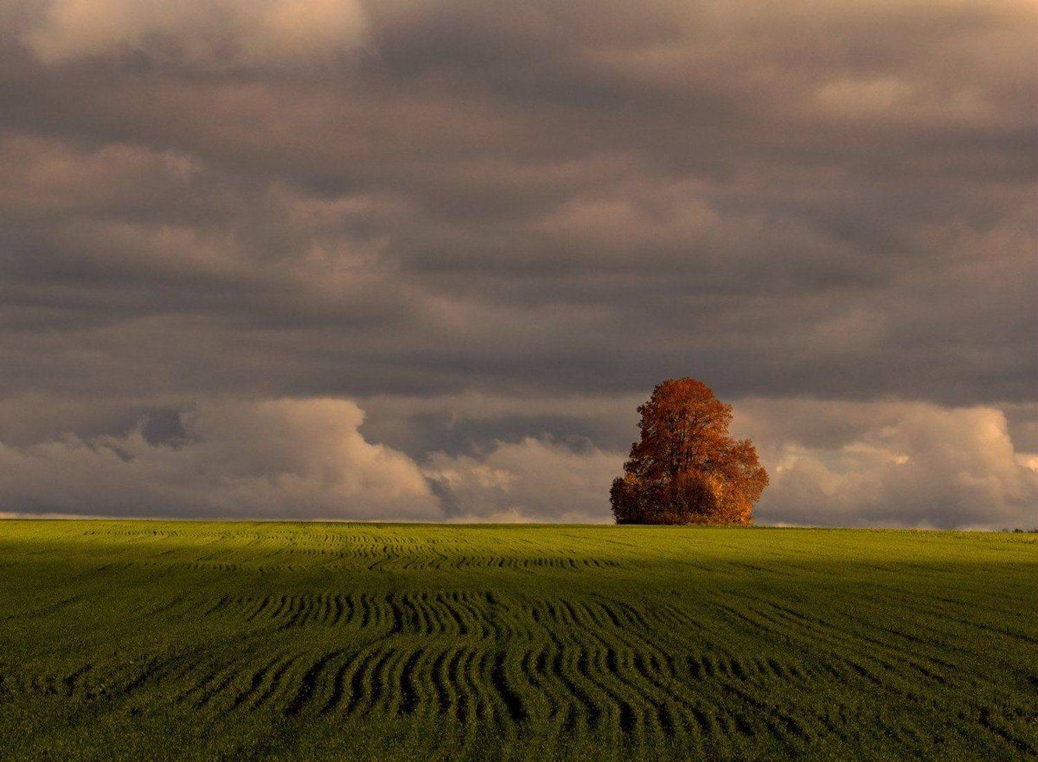 , Андрей Балабин