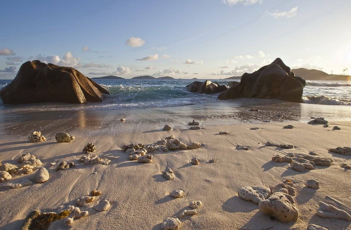 , Людмила Прокофьева