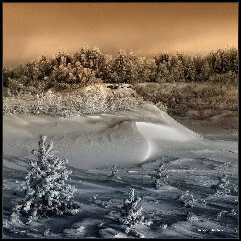 , Игорь Глушко