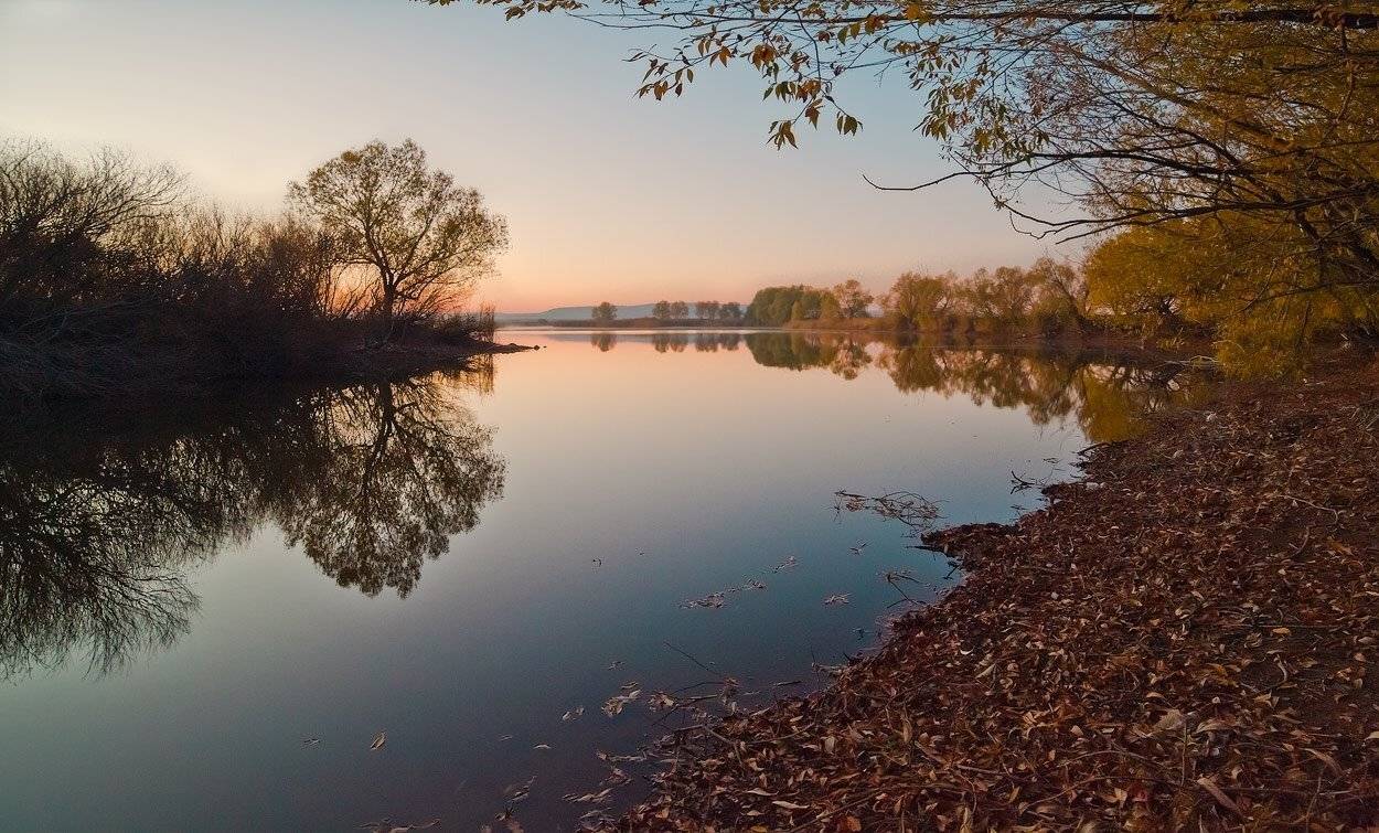 , Андрей Журавлев