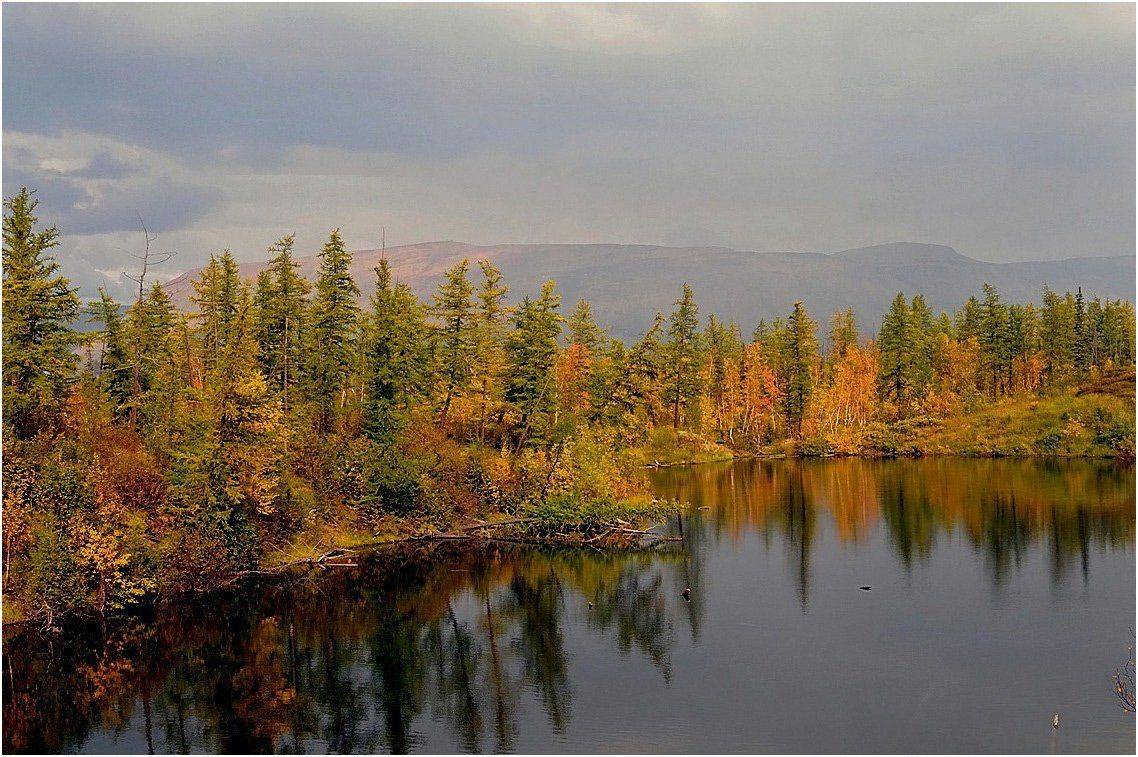 таймыо, Vladimir