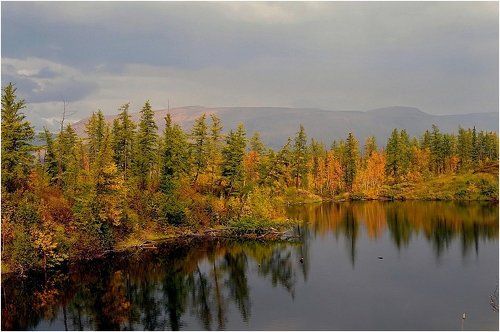 Цвет осени