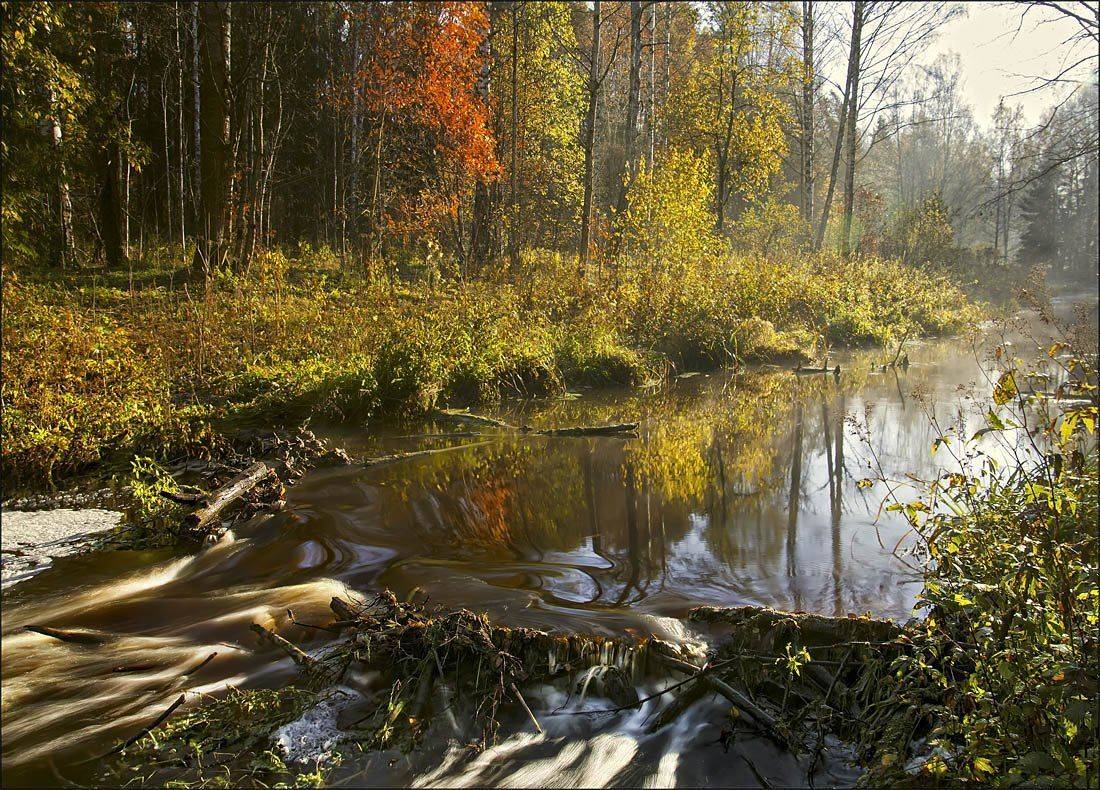 , Аркадий Белов