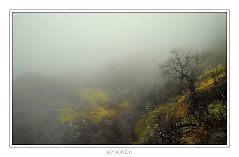 * * * фото превью