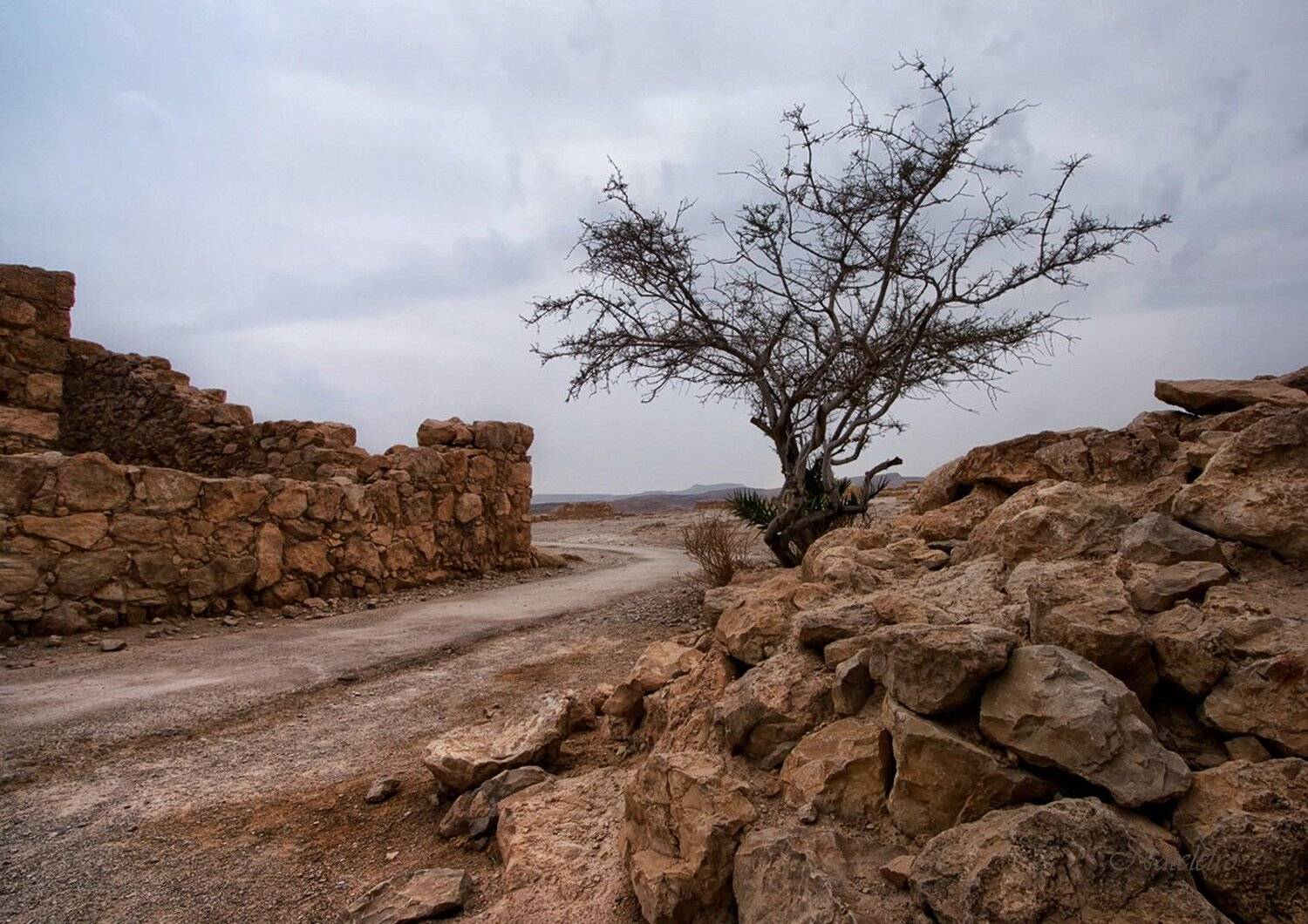 , Наталья Кузнецова (Nateletro)