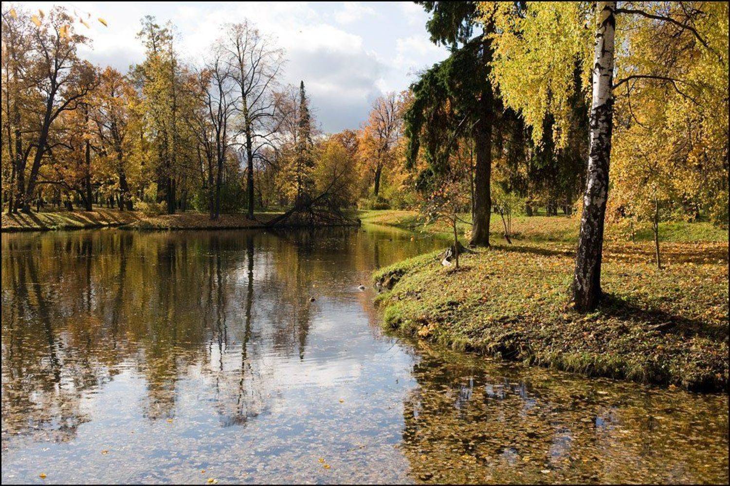 александровский, парк., октябрь., Cмирнов Юрий