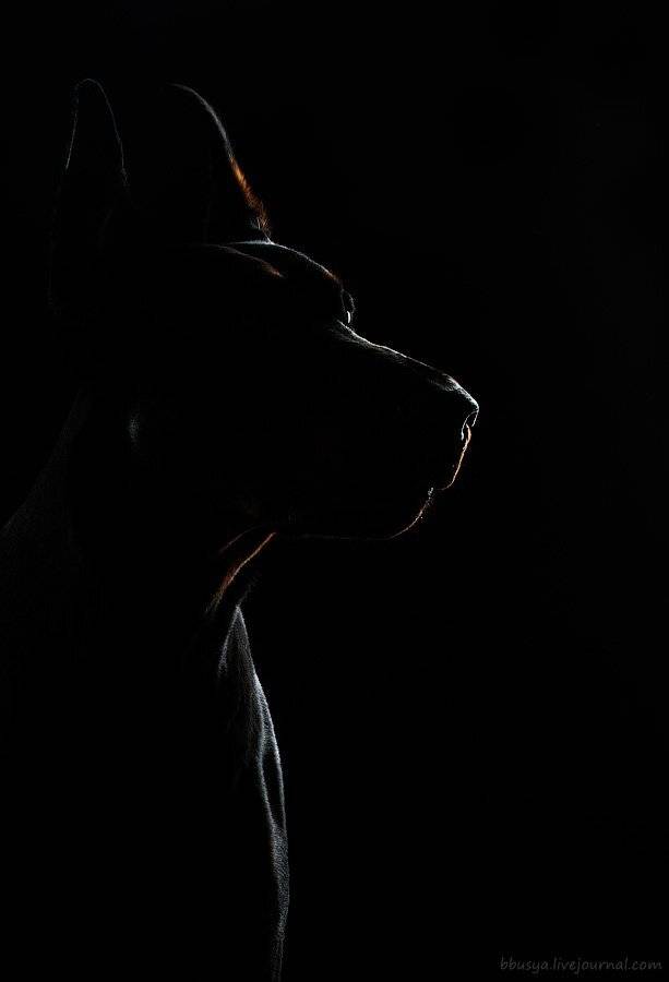 , Юлия Болдинова