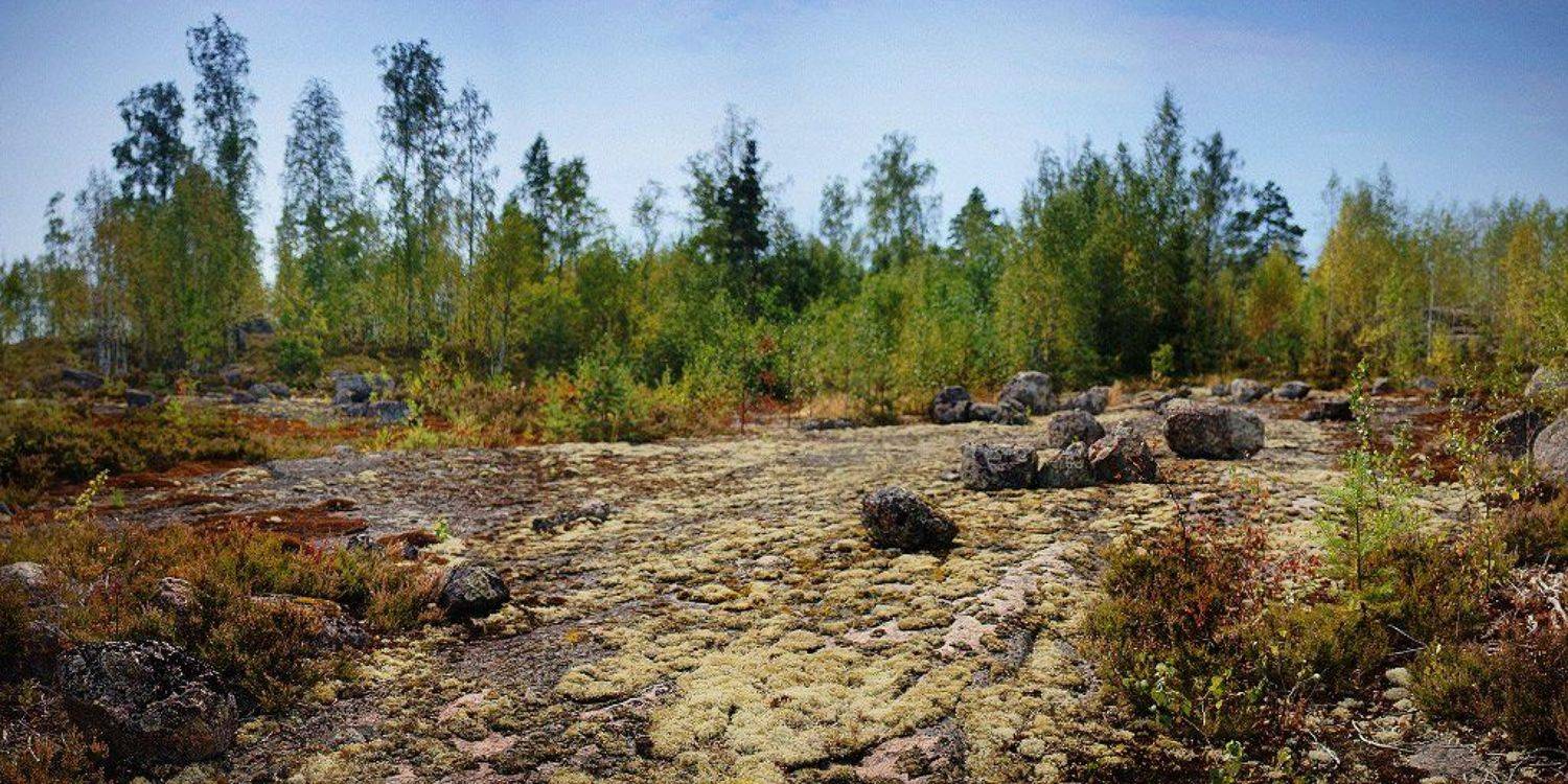 , Земляков Денис