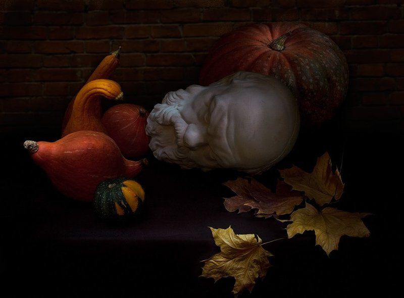 осень, тыквы, сократ, листья, свой, чужой свой среди чужих... фото превью