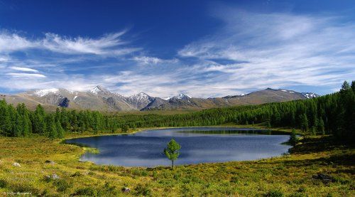 Жемчужина Улаганского перевала