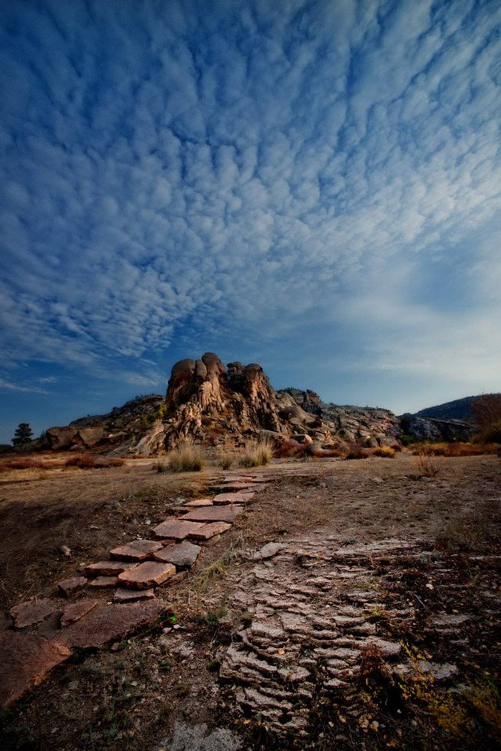 , Дмитрий Елисеев