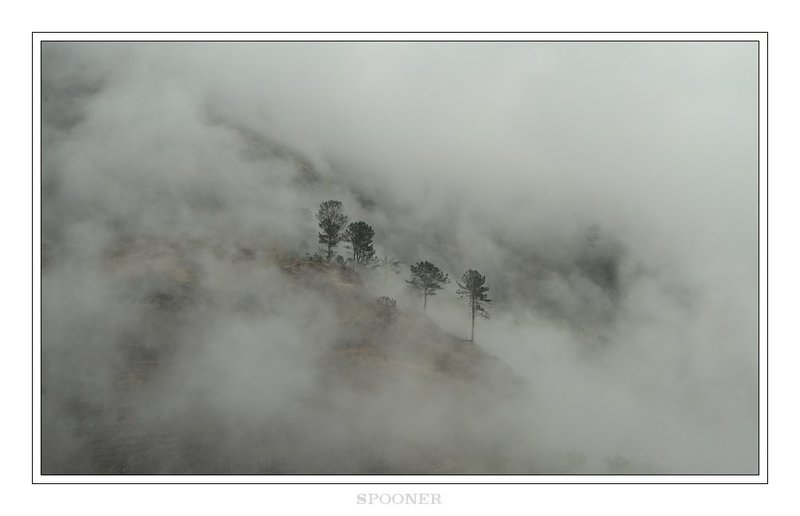 * * * фото превью