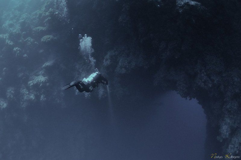 The Arch фото превью