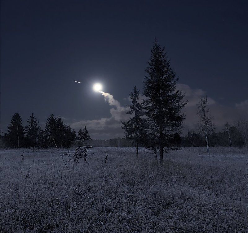 ~29~ фото превью