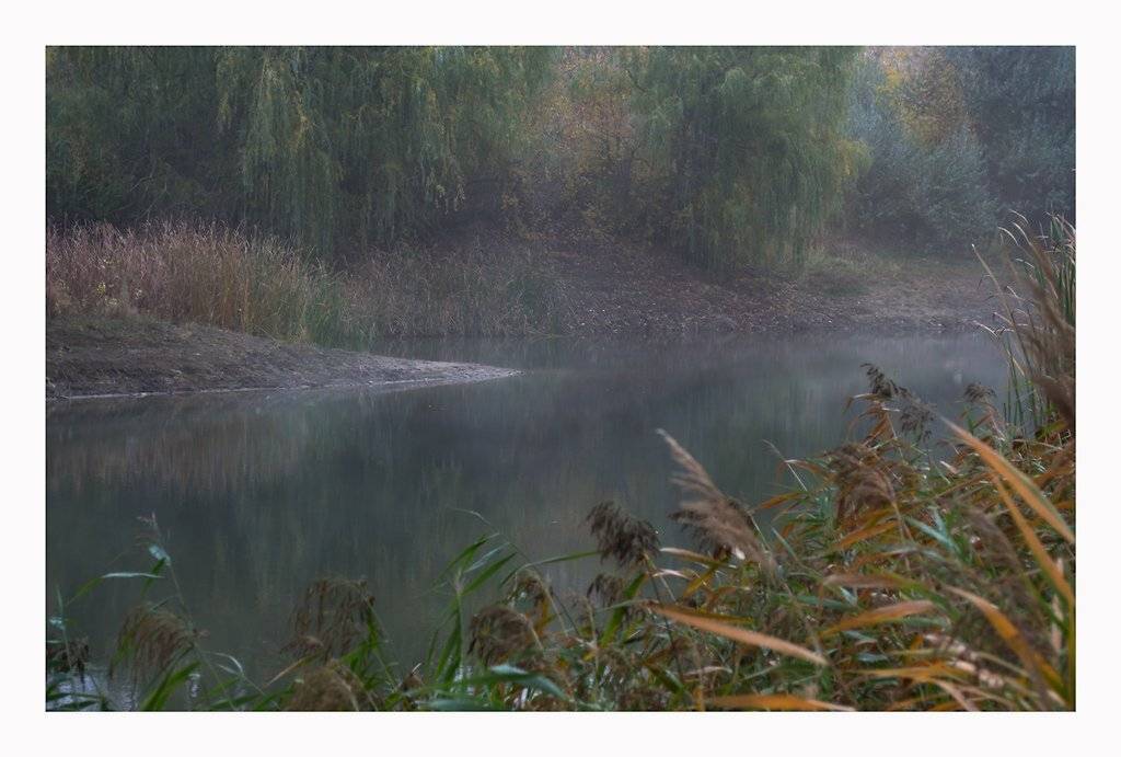 , Сергей Полукаров