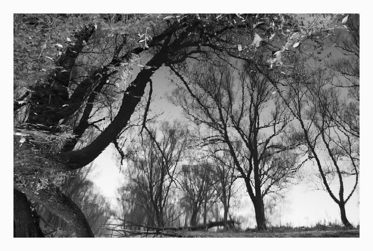 , Сергей Полукаров