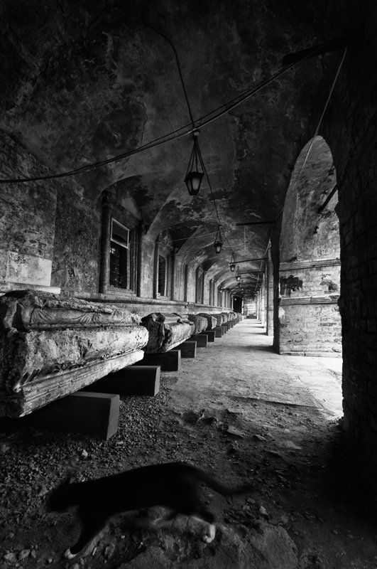 монастырь, надгробья  фото превью