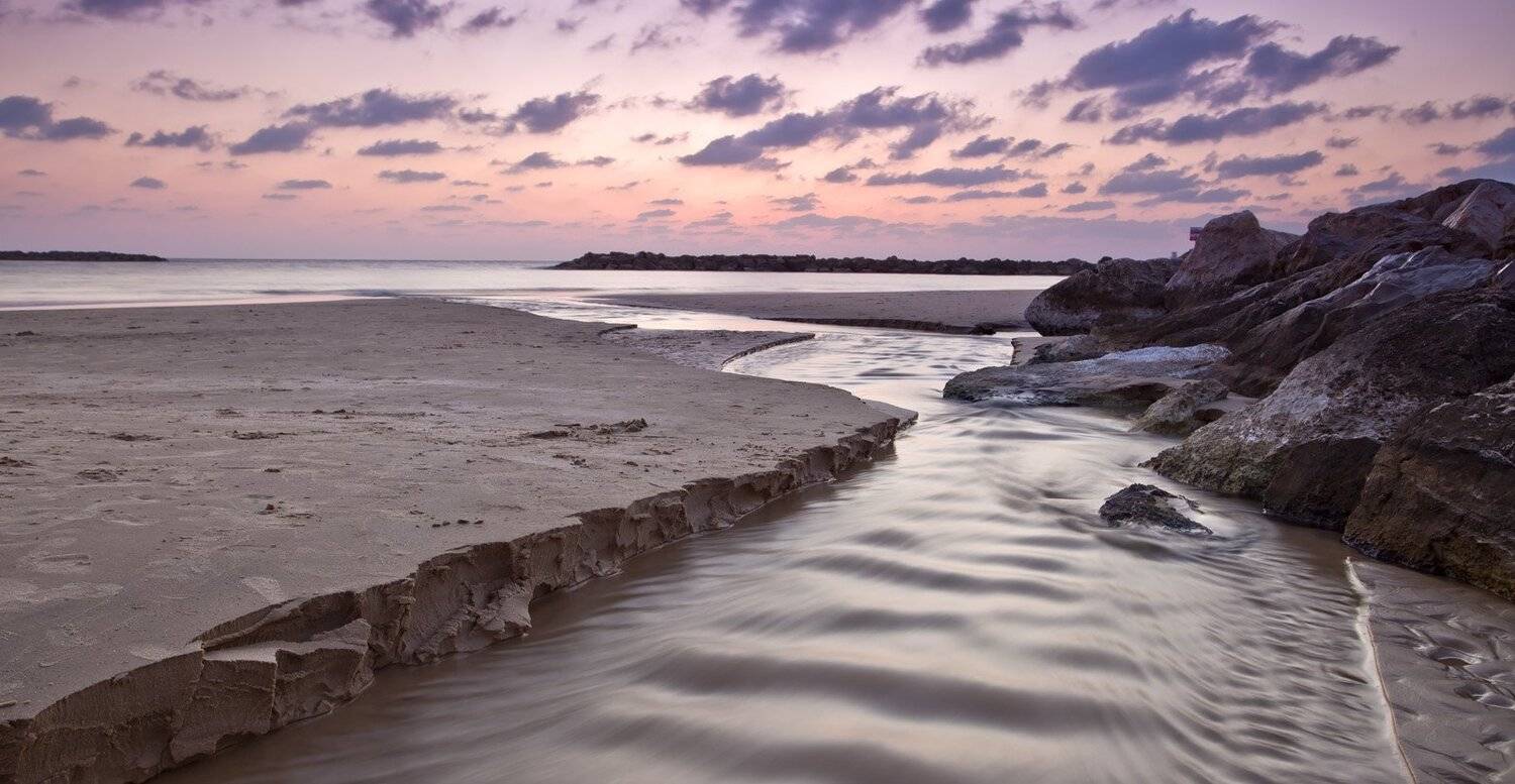 , Станислав Савицкий