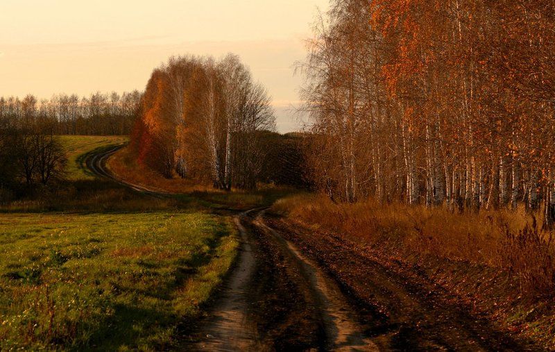 Дороги... фото превью