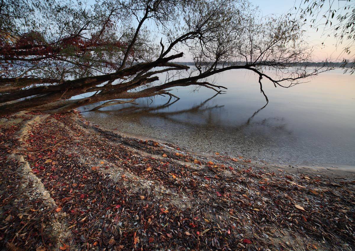 осень, Михаил Псарёв