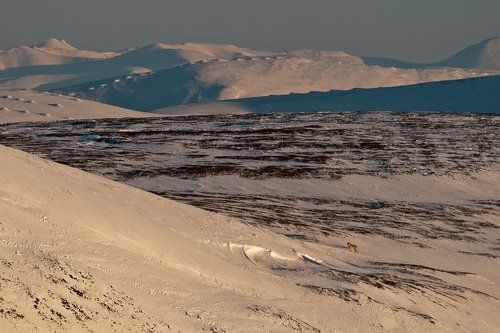 Заполярные зарисовки