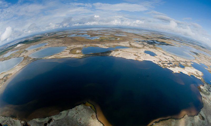 аэросъемки,север, лето,ямал, тундра летние краски тундры фото превью