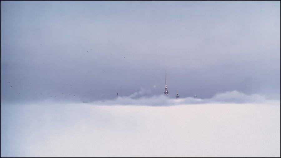 нева, ледяной, туман, Михаил Чурбанов