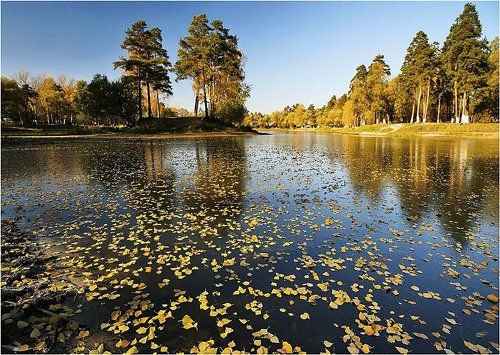 октябрьская метель