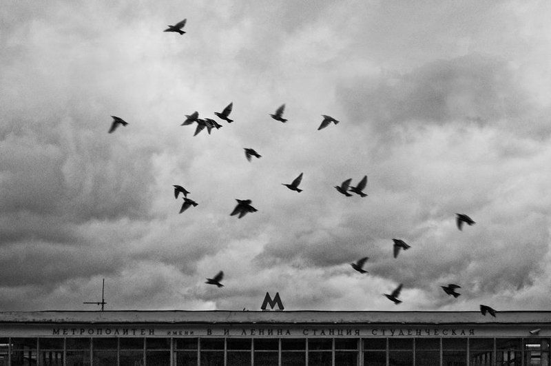 М фото превью