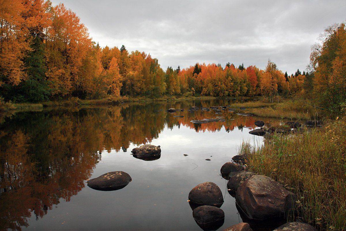 , Андрей Котов