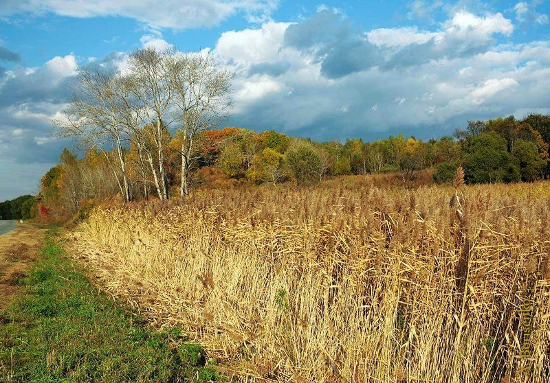 октябрь фото превью