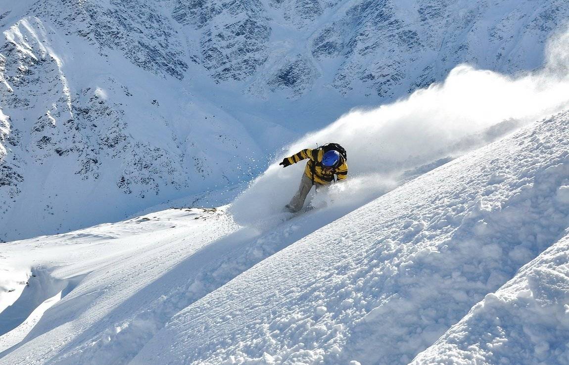 , максим куташев