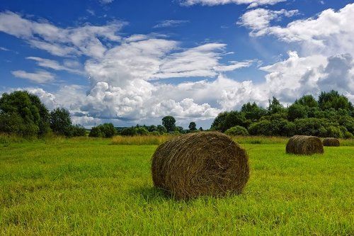 Однажды,в конце лета...