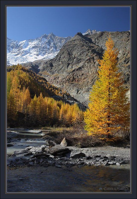 В золотом наряде осени фото превью