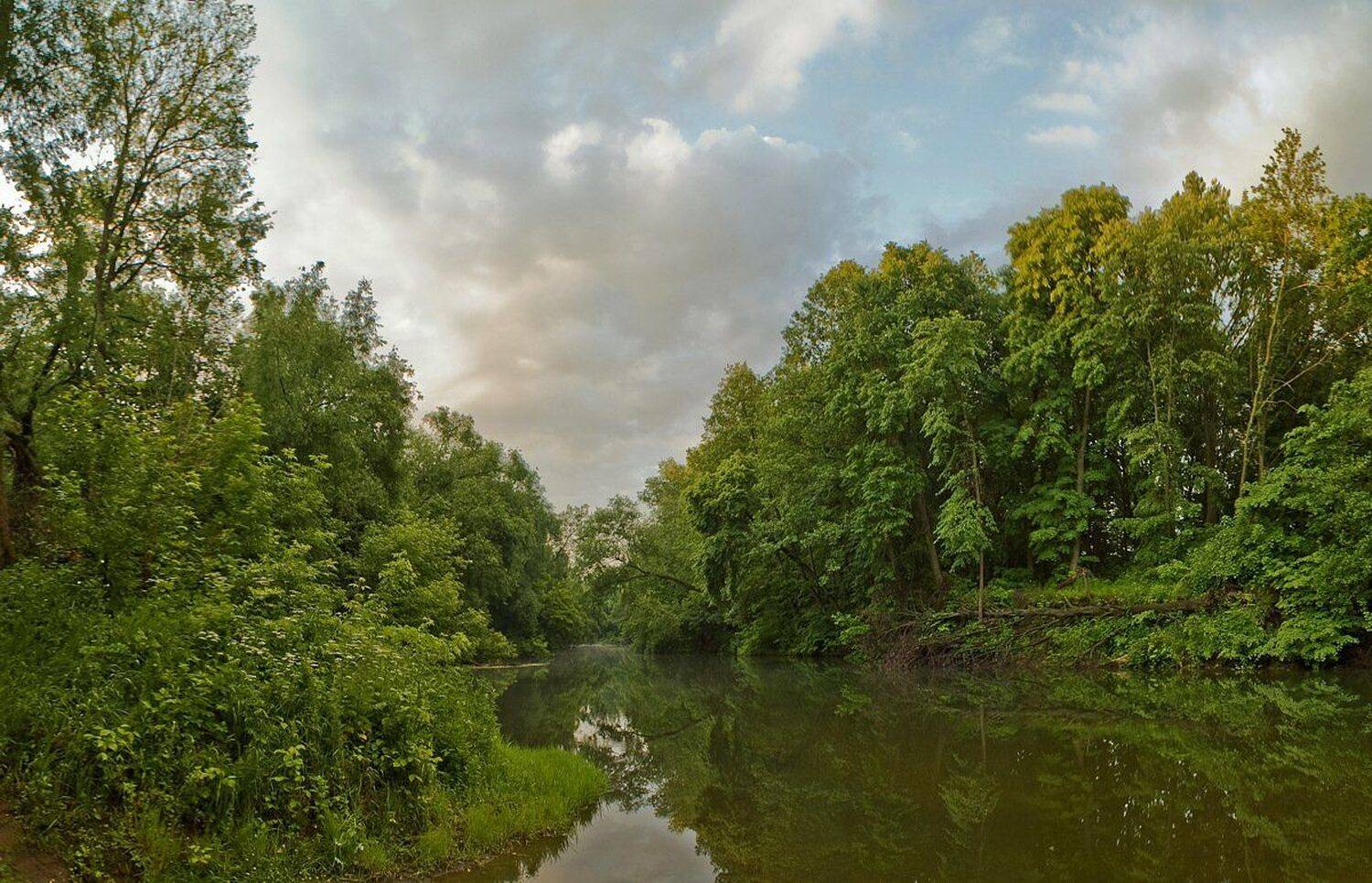 , Юрий Вертиков