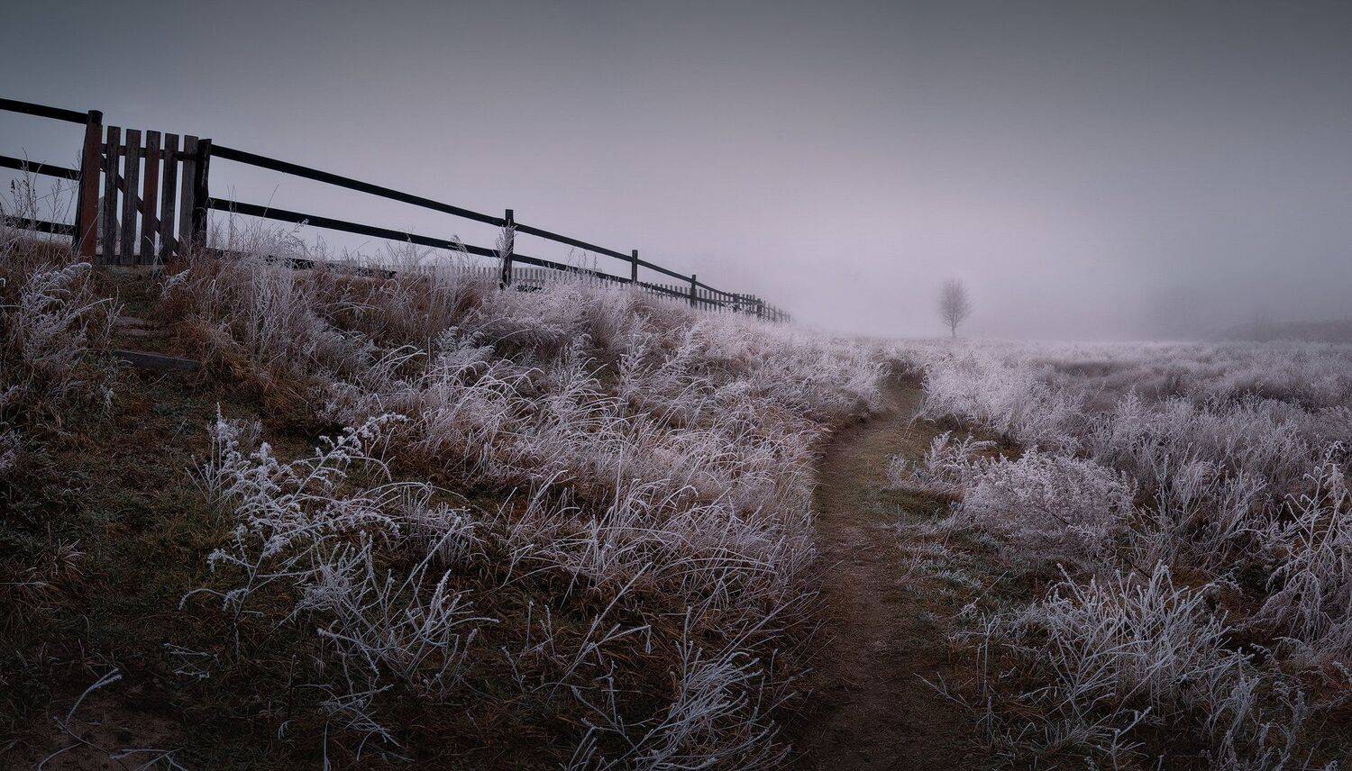 украина, коростышев, тетерев, река, утро, туман, мороз, тишина, пейзаж, природа, гармония, мир, душа,  нежность, доверие, созерцание, живой, путь, жизнь, молчание, чистота, близость, фотограф, чорный,, Александр Чорный