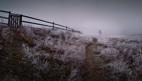 Глубже в тишину